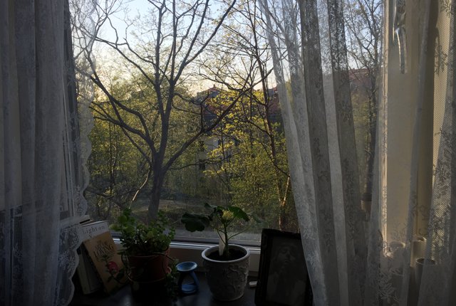 Främlingsvägen 19, Hägersten - bild 2