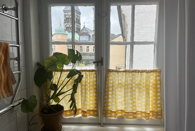 Stora Gråbrödersgatan 10, Lund - bild 5