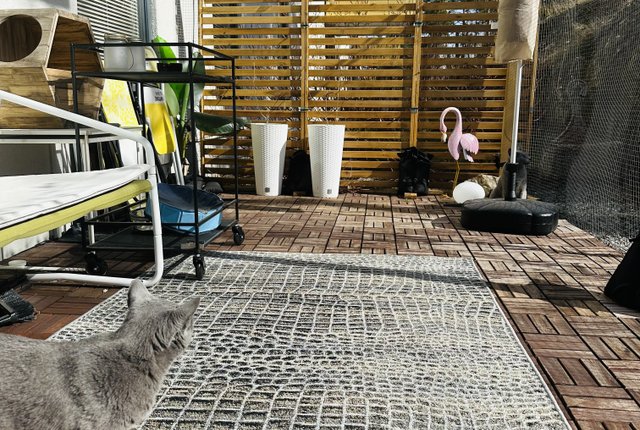Vita Liljans väg 23, Skärholmen - bild 2