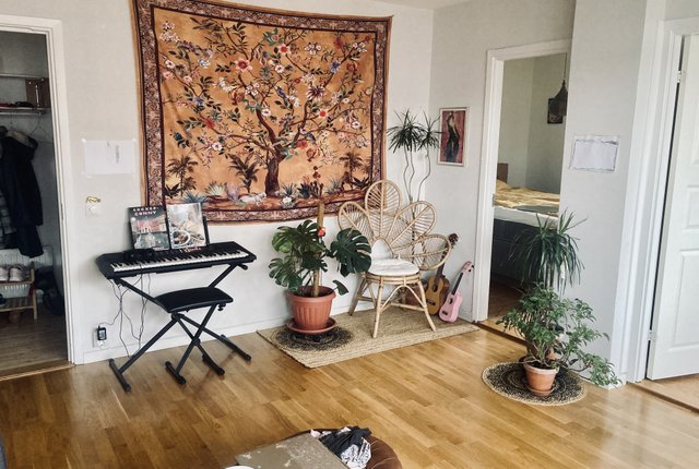 Sorgenfrivägen, Malmö - bild 6