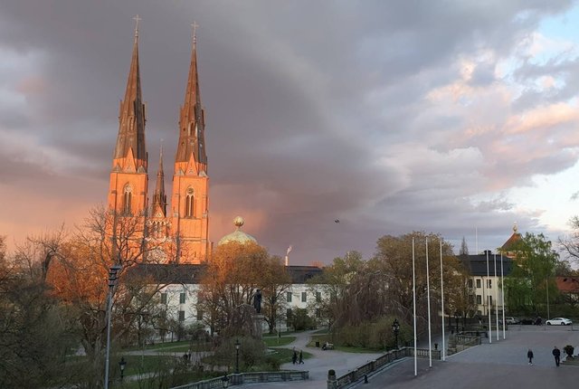 S:t Olofsgatan 10B, Uppsala - bild 8
