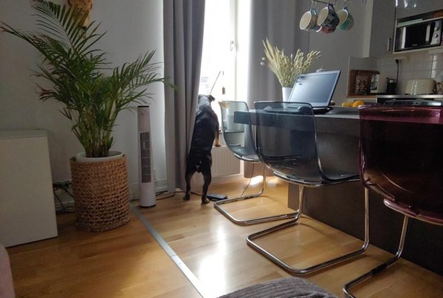 Barnängsgatan 52B, Stockholm - bild 3