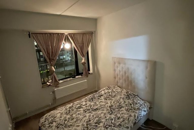 Tant gröns väg 3, Uttran - bild 4