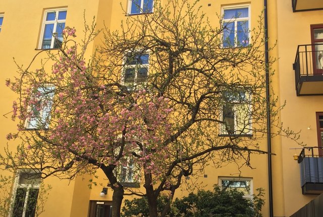Östgötagatan 47, Stockholm - bild 7
