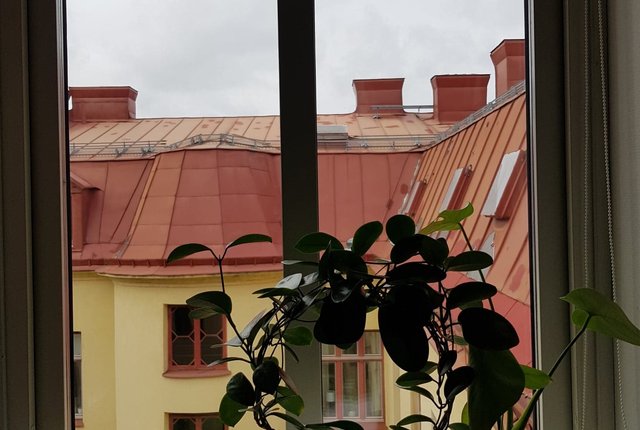 Erik Dahlbergsgatan 10, Göteborg - bild 5