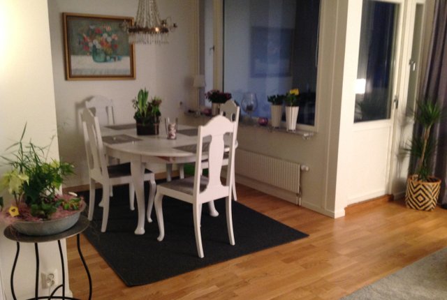 Karl Gustavsgatan 45, Göteborg - bild 5