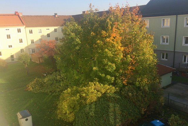 Hårdvallsgatan 3, Göteborg - bild 1