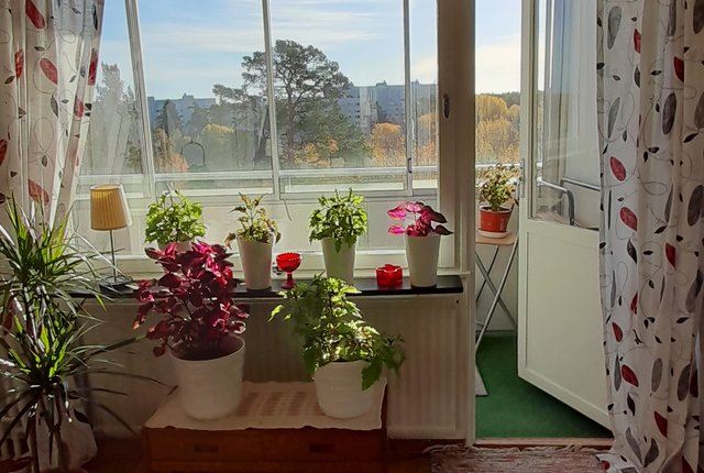 Passvägen 32, Tumba - bild 6