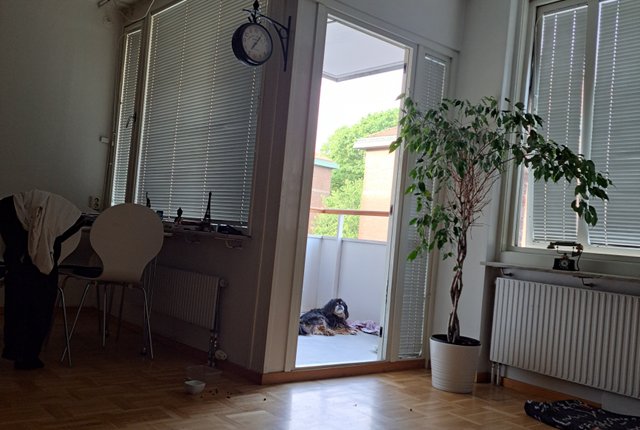 Karl Gustavsgatan 38, Göteborg - bild 1