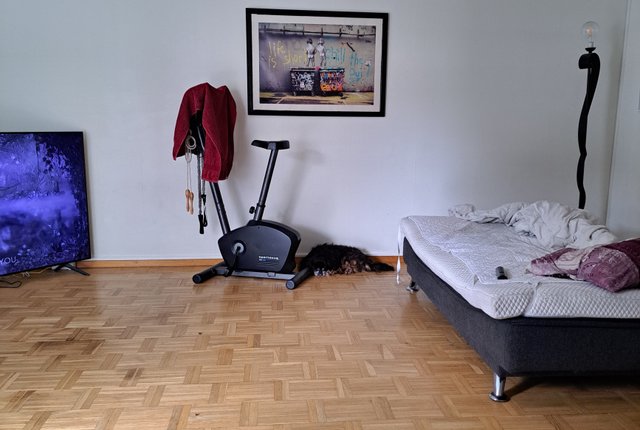 Karl Gustavsgatan 38, Göteborg - bild 2