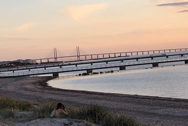 Ribersborgsvägen 14A, Malmö - bild 4