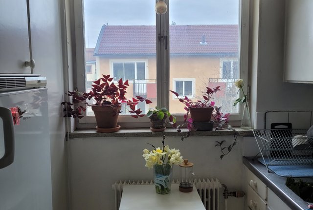 Valutavägen 70, Hägersten - bild 5