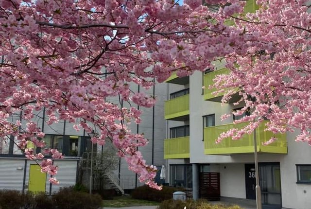 Nybohovsbacken 34, Stockholm - bild 2