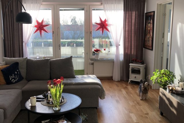Murvägen 17, Trångsund - bild 6