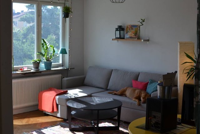 Gesundaplan 52, Bromma - bild 1