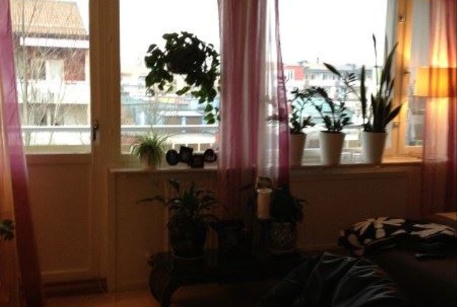 , Bro - bild 5