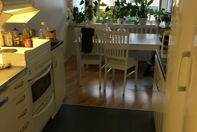 Karl Gustavsgatan 48, Göteborg - bild 3