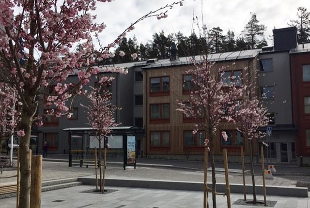 Vega Allé 111, Haninge - bild 2