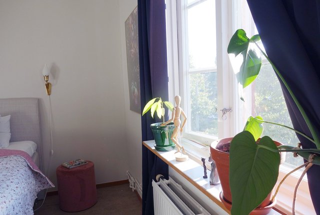 Kungsladugårdsgatan 32, Göteborg - bild 7