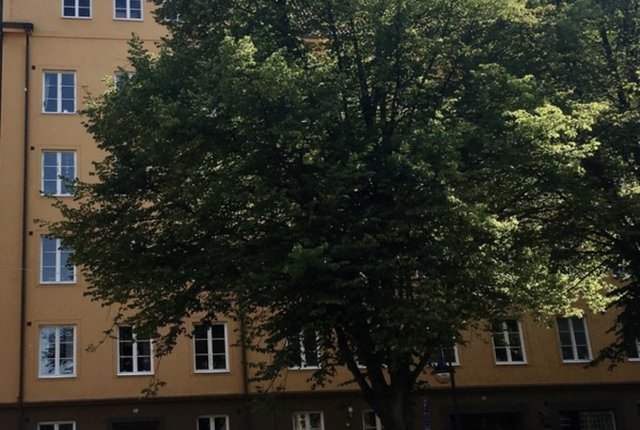 Banérsgatan 4, Malmö - bild 2
