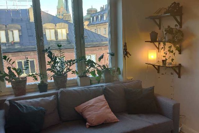 , Stockholm - bild 5