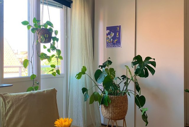 Arkivgatan 18B, Lund - bild 7