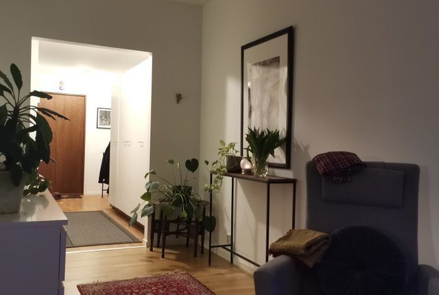 Östra Storgatan 53, Jönköping - bild 7