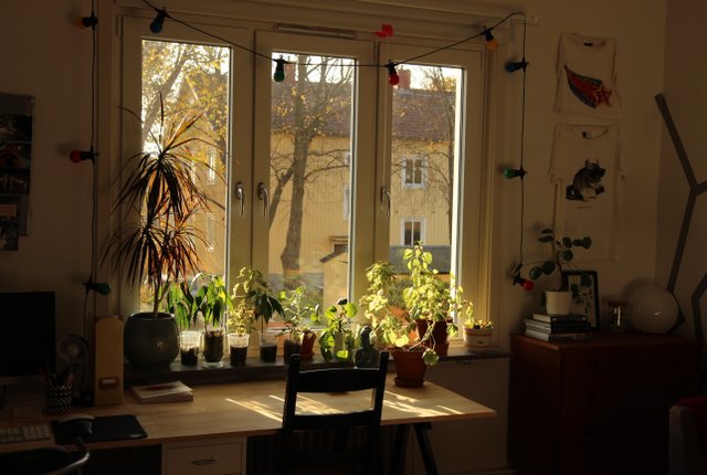 Trekantsgatan 2, Göteborg - bild 4