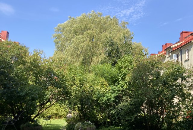 Svanebäcksgatan 25, Göteborg - bild 2