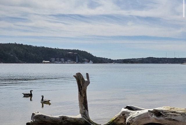 Jupitervägen 36, Lidingö - bild 6