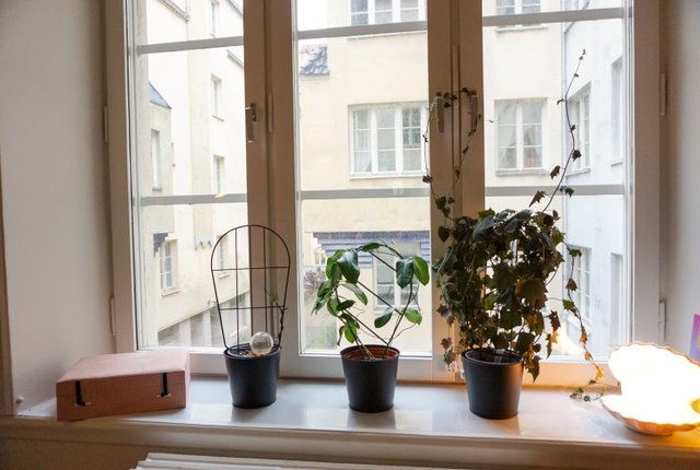 Östra Förstadsgatan 16A, Malmö - bild 8
