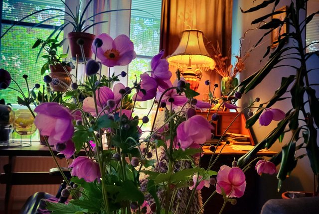 Fornhöjdsvägen 35, Södertälje - bild 8