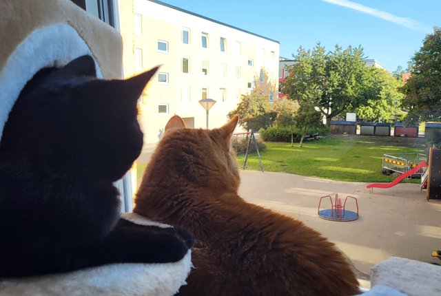 Fornhöjdsvägen 35, Södertälje - bild 5