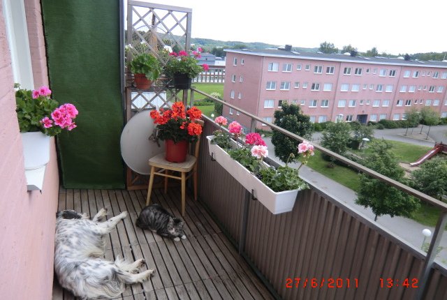 Norumshöjd 31, Göteborg - bild 5