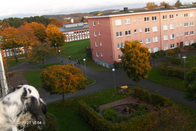 Norumshöjd 31, Göteborg - bild 7