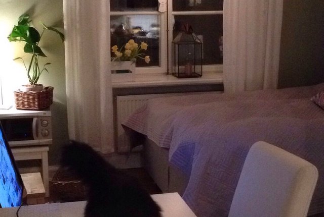 Birkagatan 6, Stockholm - bild 2