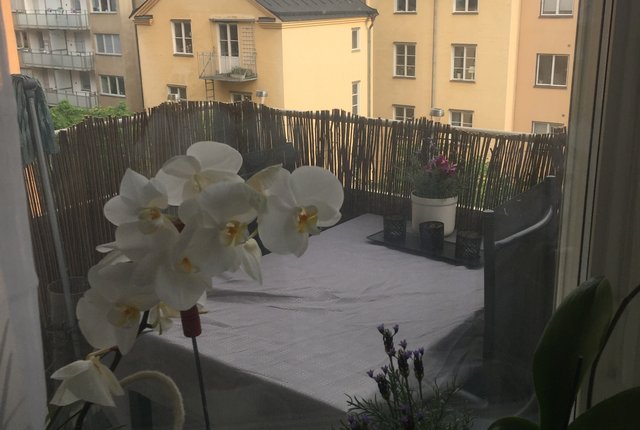 Hornsgatan 67, Stockholm - bild 6