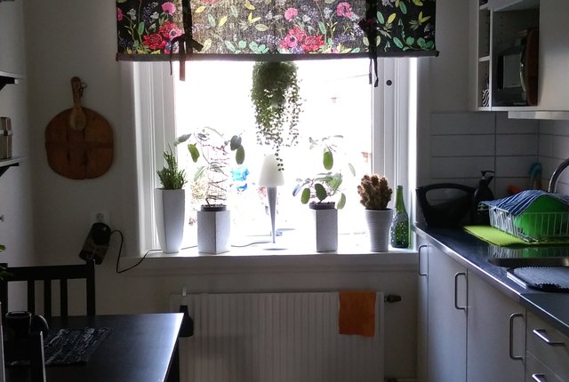 Lilla Karlagatan 40A, Göteborg - bild 2