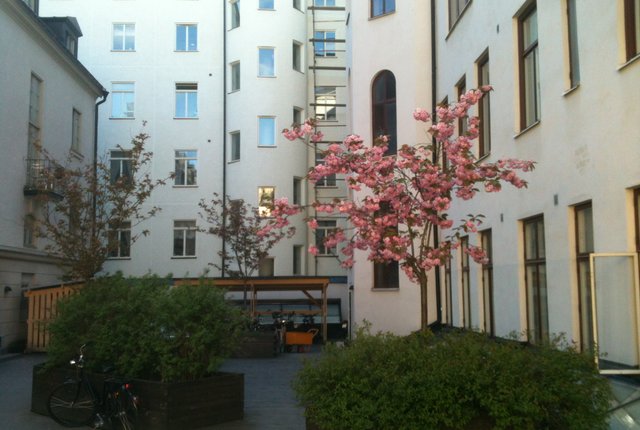 Sankt Paulsgatan 29D, Stockholm - bild 6