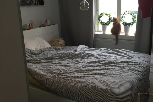 Utåkersgatan 10, Göteborg - bild 4