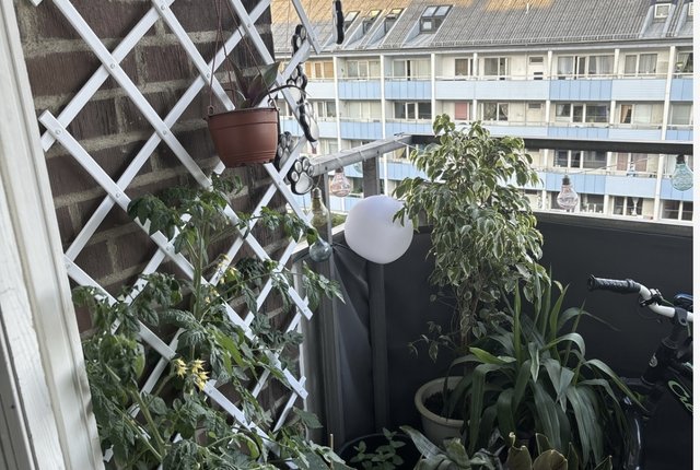 Drottninggatan 2D, Malmö - bild 7