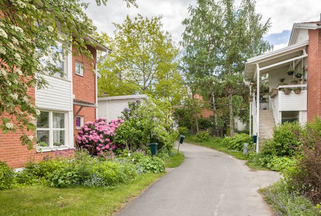 , Uppsala - bild 1
