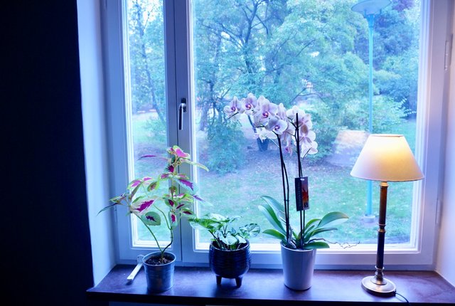 Friluftsvägen 12, Sundbyberg - bild 6