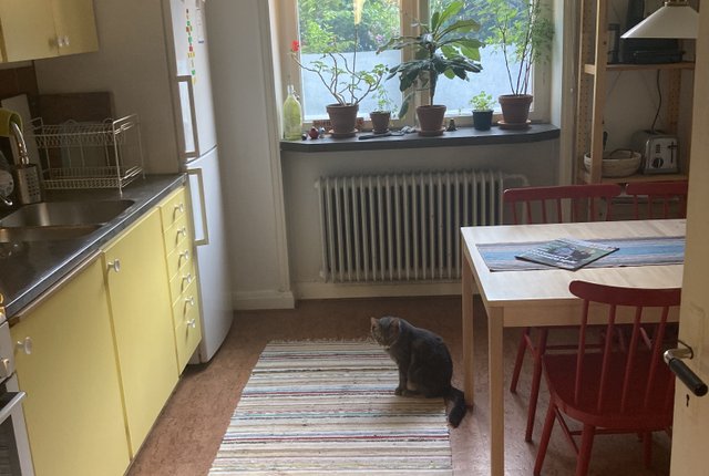 Hässleholmsgatan 1B, Malmö - bild 2