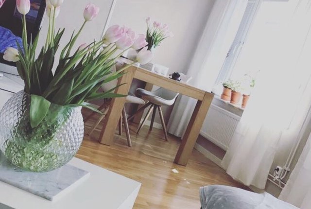 Lurgatan 7, Uppsala - bild 8