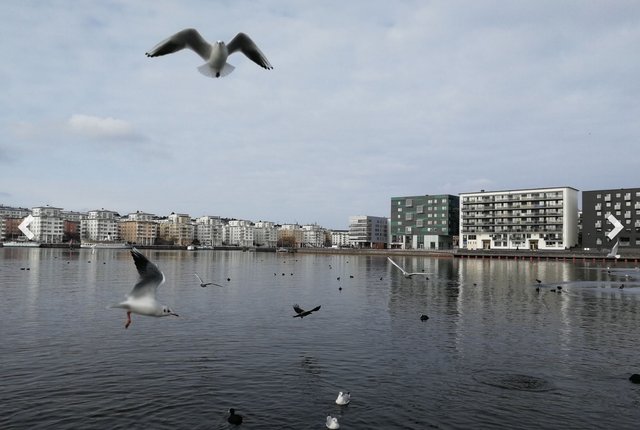 Pollargatan 16, Stockholm - bild 5