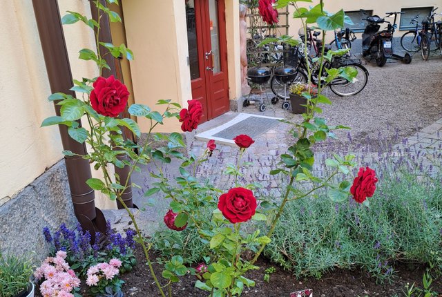 Nygatan 74, Norrköping - bild 1