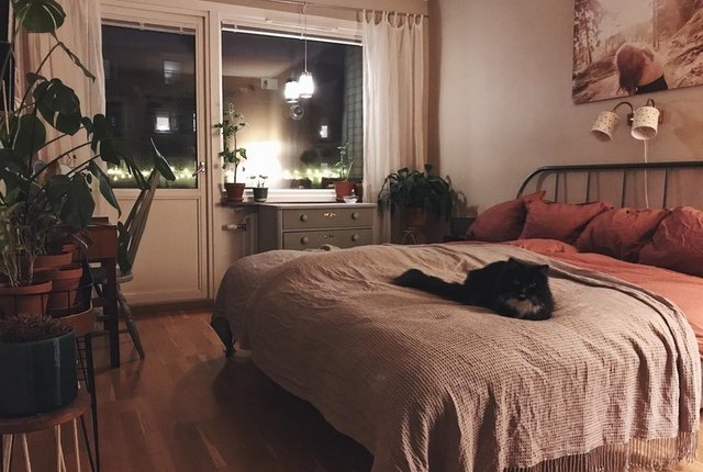 Skäpplandsgatan 5, Göteborg - bild 2