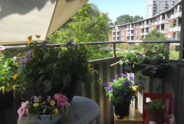 Norra Dragspelsgatan 23, Västra Frölunda - bild 3