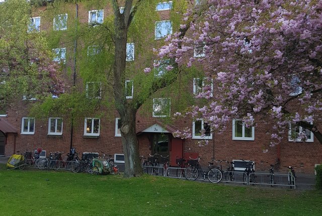 , Lund - bild 1